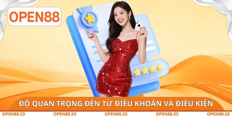 Độ quan trọng đến từ điều khoản và điều kiện