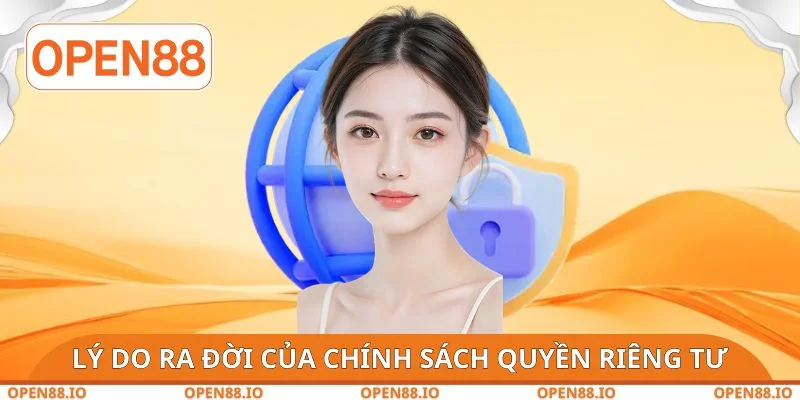 Lý do phát triển chính sách quyền riêng tư chi tiết