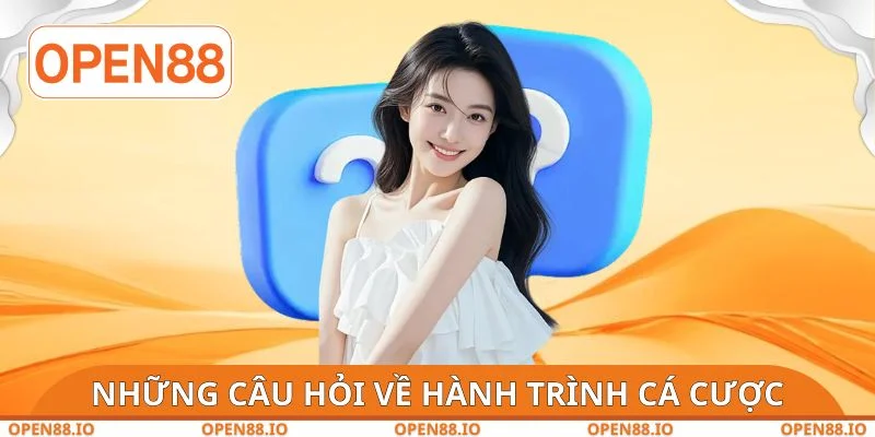 Những câu hỏi thường gặp về hành trình cá cược